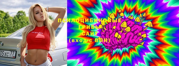 герыч Бронницы